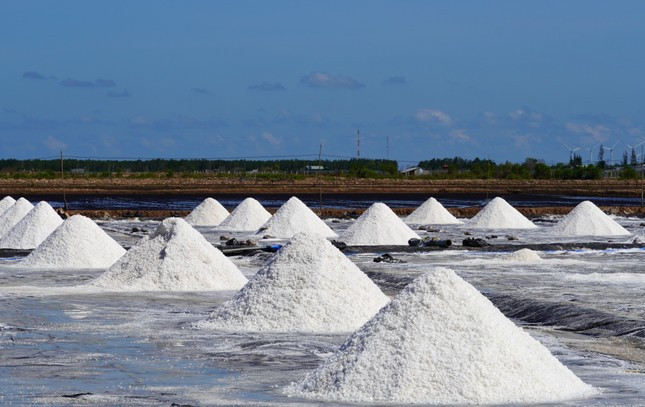 Tỉnh Bạc Liêu sẽ tổ chức Festival muối cuối năm nay và cũng là lần đầu tiên của cả nước