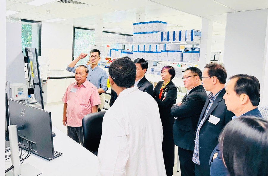 Trong khuôn khổ chuyến công tác, đoàn công tác của tỉnh Gia Lai đã đến thăm Tổ chức Nghiên cứu khoa học và Công nghiệp Australia (CSIRO) để tìm hiểu về phương pháp canh tác rau quả nhiệt đới. Ảnh: Anh Tuấn Trong khuôn khổ chuyến công tác, đoàn công tác của tỉnh Gia Lai đã đến thăm Tổ chức Nghiên cứu khoa học và Công nghiệp Australia (CSIRO) để tìm hiểu về phương pháp canh tác rau quả nhiệt đới. Ảnh: Anh Tuấn