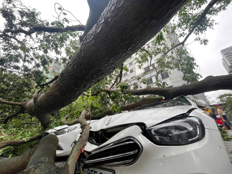 Trong số ô tô bị cây đổ trúng trên phố Đạm Phương, có nhiều chiếc xe hạng sang, trị giá hàng tỉ đồng Trong số ô tô bị cây đổ trúng trên phố Đạm Phương, có nhiều chiếc xe hạng sang, trị giá hàng tỉ đồng