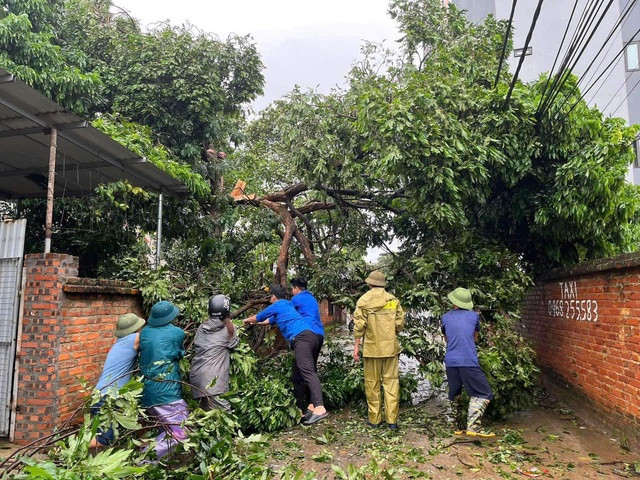 Thanh niên tình nguyện cùng người dân dọn cây bị gãy đổ do bão tại khu dân cư Thanh niên tình nguyện cùng người dân dọn cây bị gãy đổ do bão tại khu dân cư