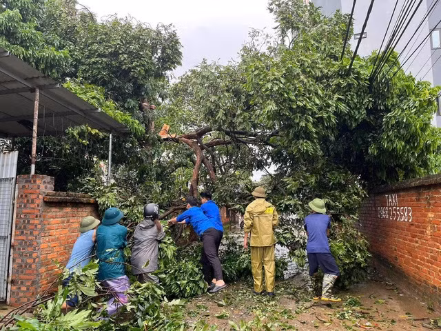 Thanh niên tình nguyện cùng người dân dọn cây bị gãy đổ do bão tại khu dân cư