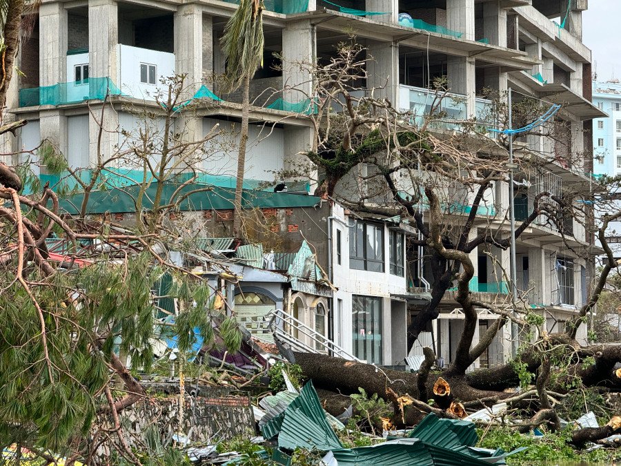 Tại Khu du lịch Bãi Cháy, một cây lớn đổ sập vào nhà hàng Tại Khu du lịch Bãi Cháy, một cây lớn đổ sập vào nhà hàng