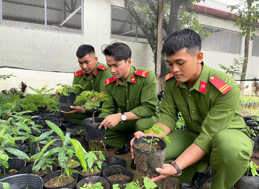 3 chiến sĩ Nay Bình, Cao Văn Định, Nay Trưk (lần lượt từ phải sang) chăm sóc cây tại Vườn ươm thanh niên của đơn vị. Ảnh: Vũ Chi 3 chiến sĩ Nay Bình, Cao Văn Định, Nay Trưk (lần lượt từ phải sang) chăm sóc cây tại Vườn ươm thanh niên của đơn vị. Ảnh: Vũ Chi