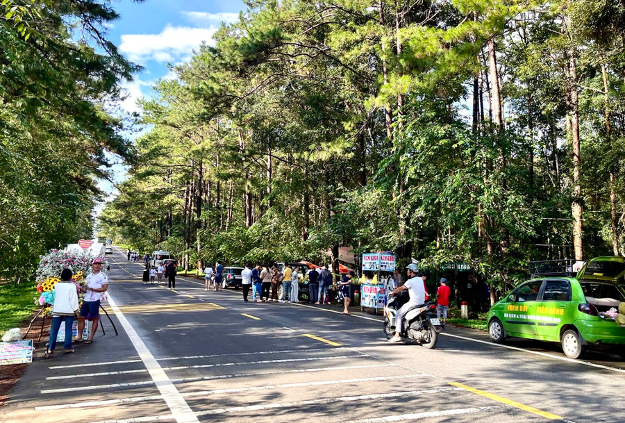 Ngày 1/9, UBND huyện Kon Plông cho biết, dự kiến có khoảng 30.000 lượt du khách đến với thị trấn Măng Đen trong 4 ngày nghỉ lễ Quốc khách 2/9. Thị trấn Măng Đen có khoảng 1.300 phòng lưu trú đều đã được đặt kín.