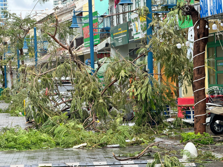 Các tuyến đường trục chính bị cây đổ chắn lối, giao thông hỗn loạn Các tuyến đường trục chính bị cây đổ chắn lối, giao thông hỗn loạn