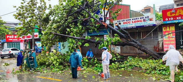 Đường phố Hà Nội ngổn ngang sau bão Đường phố Hà Nội ngổn ngang sau bão