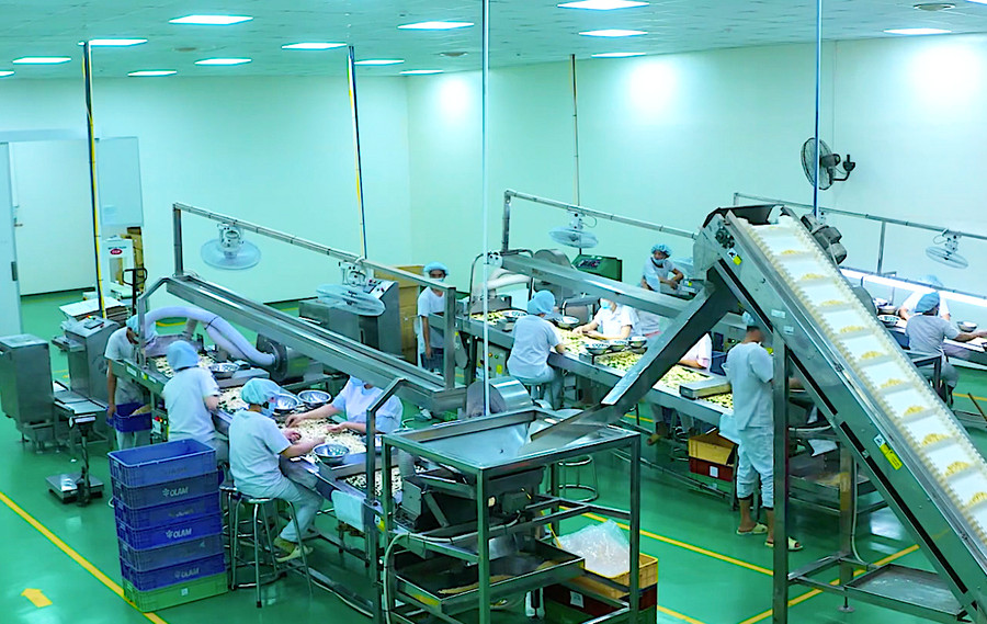 Công nhân làm việc tại Chi nhánh Công ty TNHH Olam (Khu Công nghiệp Trà Đa, TP. Pleiku). Ảnh: H.D Công nhân làm việc tại Chi nhánh Công ty TNHH Olam (Khu Công nghiệp Trà Đa, TP. Pleiku). Ảnh: H.D