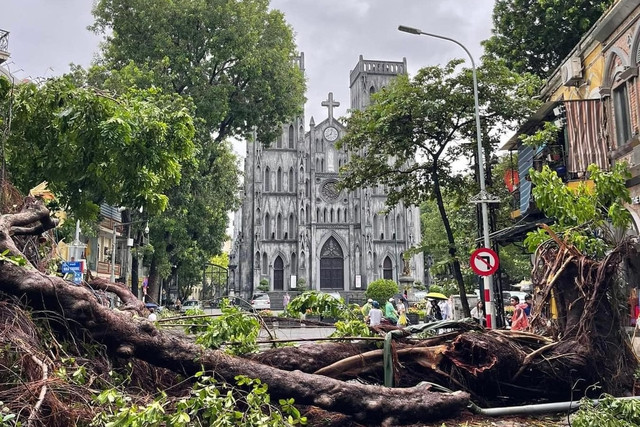 Cây xanh cổ thụ trước mặt Nhà thờ Lớn (Q.Hoàn Kiếm) bị đổ gãy sau mưa bão