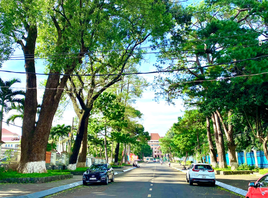 Một góc thành phố Pleiku-thành phố trung tâm tiểu vùng Bắc Tây Nguyên được quy hoạch xây dựng theo hướng đô thị thông minh, “Cao nguyên xanh, vì sức khỏe”. Ảnh: Hà Duy Một góc thành phố Pleiku-thành phố trung tâm tiểu vùng Bắc Tây Nguyên được quy hoạch xây dựng theo hướng đô thị thông minh, “Cao nguyên xanh, vì sức khỏe”. Ảnh: Hà Duy