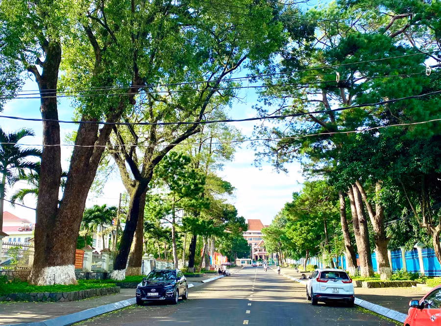 Một góc thành phố Pleiku-thành phố trung tâm tiểu vùng Bắc Tây Nguyên được quy hoạch xây dựng theo hướng đô thị thông minh, “Cao nguyên xanh, vì sức khỏe”. Ảnh: Hà Duy