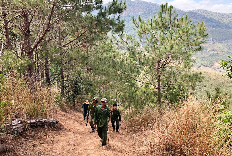 Tổ quản lý, bảo vệ rừng xã Hà Đông (huyện Đak Đoa) tuần tra bảo vệ rừng. Ảnh: L.N Tổ quản lý, bảo vệ rừng xã Hà Đông (huyện Đak Đoa) tuần tra bảo vệ rừng. Ảnh: L.N