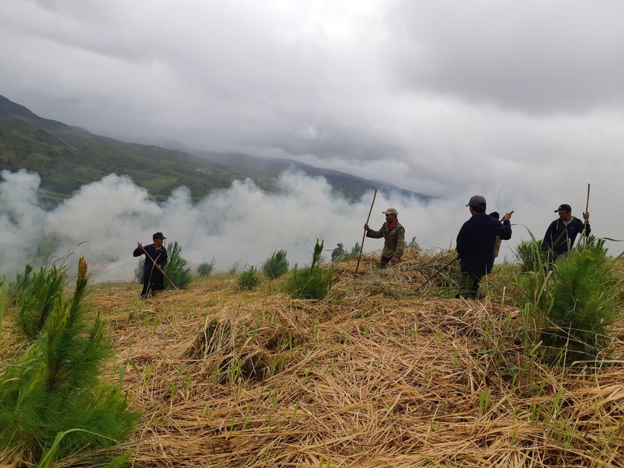 Ban Quản lý rừng phòng hộ Mang Yang chủ động phối hợp với người dân nhận khoán phát dọn thực bì rừng trồng trong mùa khô. Ảnh: N.D Ban Quản lý rừng phòng hộ Mang Yang chủ động phối hợp với người dân nhận khoán phát dọn thực bì rừng trồng trong mùa khô. Ảnh: N.D