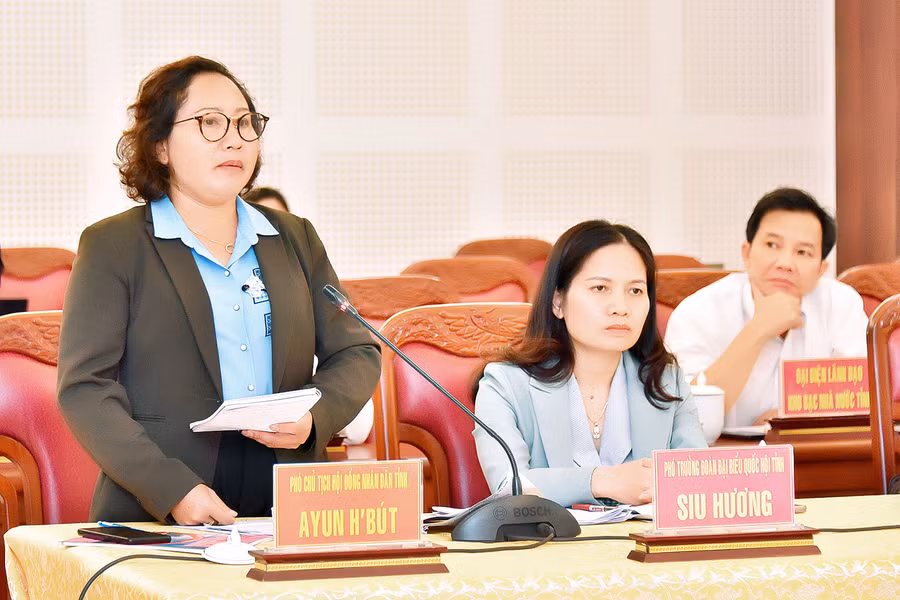 Bà Ayun H'Bút-Tỉnh ủy viên, Phó Chủ tịch HĐND tỉnh Gia Lai phát biểu tại hội nghị. Ảnh: Đ.T