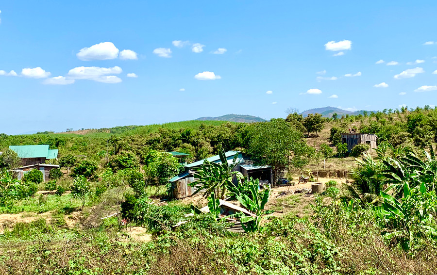 Khu vực bị thu hồi chuyển đổi mục đích sử dụng đất ở xã Ia Dom (huyện Đức Cơ) để thực hiện quy hoạch khu trung tâm Khu Kinh tế Cửa khẩu Quốc tế Lệ Thanh. Ảnh: Hà Duy