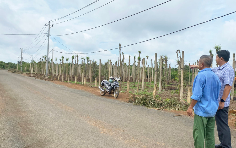 Công trình đường liên xã Ia Ka-Ia Phí hoàn thành giúp cho việc đi lại, giao thương của người dân thuận lợi hơn. Ảnh: Sơn Ca Công trình đường liên xã Ia Ka-Ia Phí hoàn thành giúp cho việc đi lại, giao thương của người dân thuận lợi hơn. Ảnh: Sơn Ca