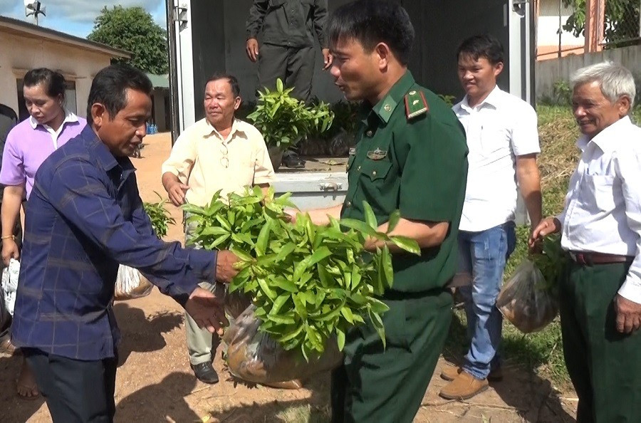 Đồn Biên phòng cửa khẩu quốc tế Lao Bảo và nhân dân bản Ka Tăng (Quảng Trị) tặng giống cây cho người dân bản Densavan (Savannakhet) Đồn Biên phòng cửa khẩu quốc tế Lao Bảo và nhân dân bản Ka Tăng (Quảng Trị) tặng giống cây cho người dân bản Densavan (Savannakhet)