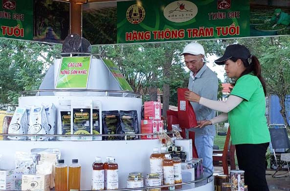 Các sản phẩm OCOP được trưng bày tại khu vực hàng thông trăm tuổi (xã Nghĩa Hưng, huyện Chư Păh). Ảnh: N.D Các sản phẩm OCOP được trưng bày tại khu vực hàng thông trăm tuổi (xã Nghĩa Hưng, huyện Chư Păh). Ảnh: N.D