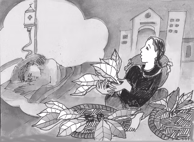 Minh họa: HOÀNG ĐẶNG