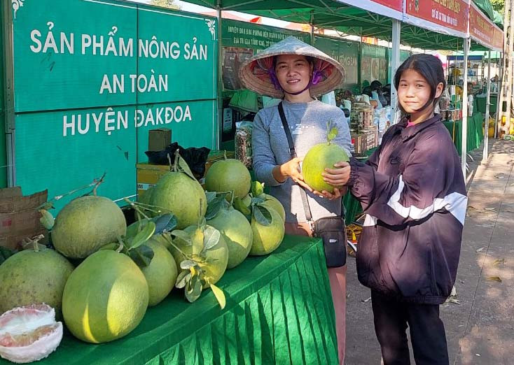 Bưởi da xanh trồng tại xã Đak Sơmei được người tiêu dùng đánh giá cao về chất lượng. Ảnh: N.D Bưởi da xanh trồng tại xã Đak Sơmei được người tiêu dùng đánh giá cao về chất lượng. Ảnh: N.D