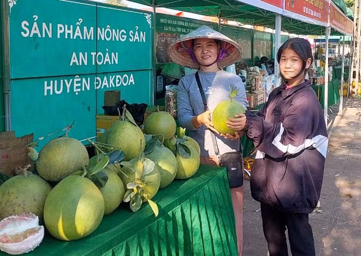 Bưởi da xanh trồng tại xã Đak Sơmei được người tiêu dùng đánh giá cao về chất lượng. Ảnh: N.D