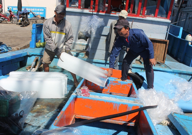 Ngư dân Trần Cu Anh (bìa phải) cùng bạn chài chuyển đá cây lên tàu chuẩn bị ra khơi Ngư dân Trần Cu Anh (bìa phải) cùng bạn chài chuyển đá cây lên tàu chuẩn bị ra khơi