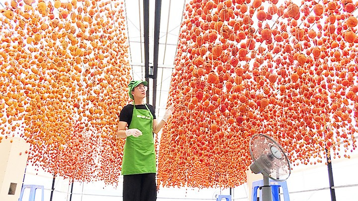 Hồng treo gió đã trở thành một đặc sản quen thuộc ở Đà Lạt. Hồng treo gió đã trở thành một đặc sản quen thuộc ở Đà Lạt.