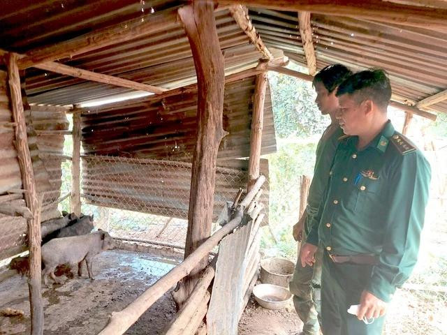 Anh A Hợp được BĐBP hỗ trợ vốn mua lợn giống bản địa để phát triển kinh tế Anh A Hợp được BĐBP hỗ trợ vốn mua lợn giống bản địa để phát triển kinh tế
