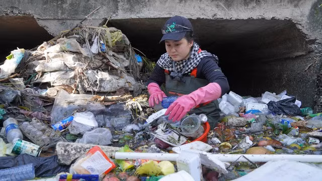 Một nữ tình nguyện viên dầm mình dưới kênh đen để dọn rác. (Ảnh do nhân vật cung cấp)