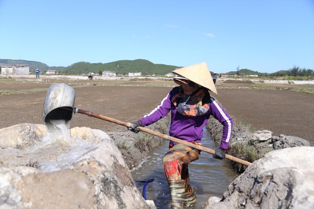 Sản xuất muối vất vả, cực nhọc, thu nhập thấp nên trên những cánh đồng muối chỉ còn người lớn tuổi bám trụ Sản xuất muối vất vả, cực nhọc, thu nhập thấp nên trên những cánh đồng muối chỉ còn người lớn tuổi bám trụ