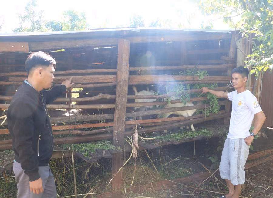 Ông Hà Tấn Phát-Bí thư Chi bộ kiêm Trưởng thôn Ia Khưng cùng với cấp ủy chi bộ làm tốt công tác tuyên truyền, vận động người dân thay đổi tư duy sản xuất, phát triển kinh tế. Ảnh: Q.T