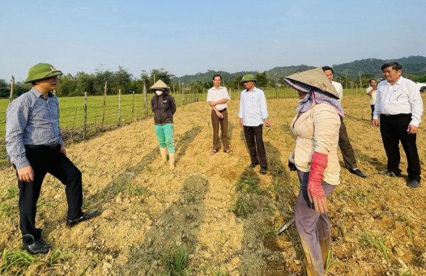 Người dân và chính quyền địa phương vui mừng với việc canh tác, chăn nuôi trên đất chết năm xưa. Người dân và chính quyền địa phương vui mừng với việc canh tác, chăn nuôi trên đất chết năm xưa.