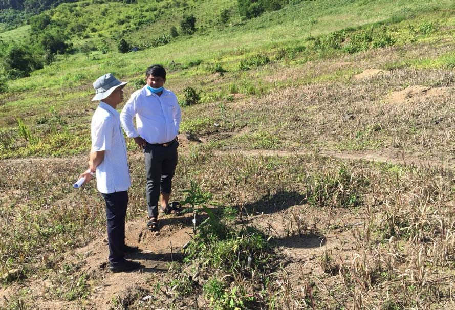 Ông Phạm Quang Vĩnh (bìa trái)-Phó Chủ tịch HĐND huyện-Trưởng đoàn giám sát đi kiểm tra tại khu sản xuất của người dân xã Sơn Lang. Ảnh: N.M