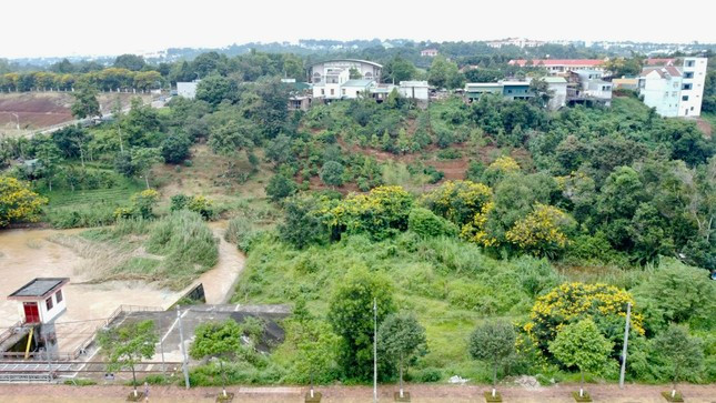 Thanh tra tỉnh Đắk Nông thanh tra toàn diện việc quản lý, giao sử dụng hơn 1.910 ha đất
