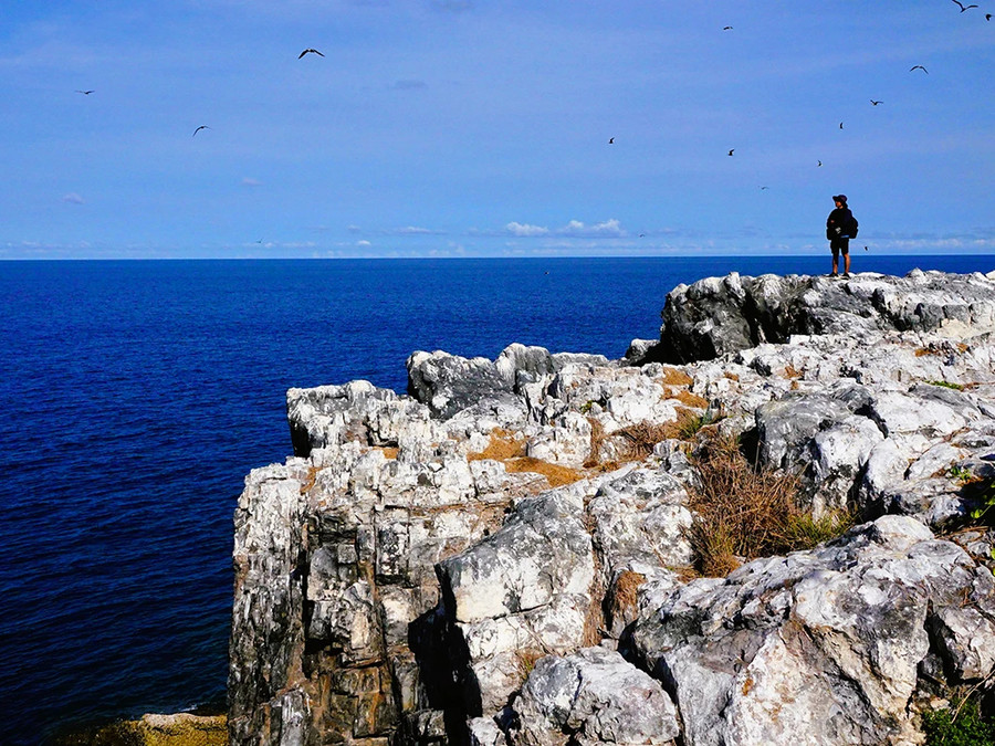 Vách đá dựng đứng ở phía đông đảo Hòn Em Vách đá dựng đứng ở phía đông đảo Hòn Em