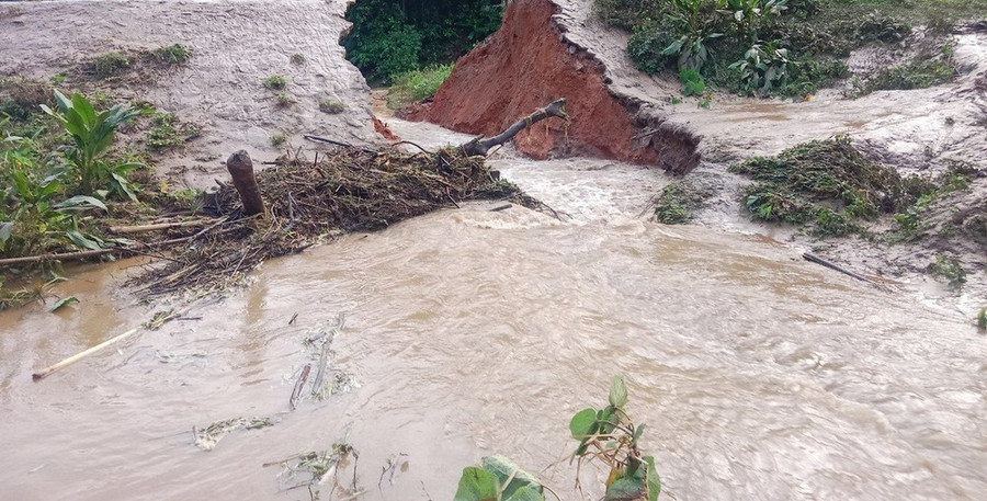 Ảnh minh họa. (Nguồn: TTXVN phát)