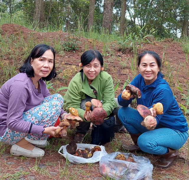 Thích thú với thành quả hái nấm của du khách Thích thú với thành quả hái nấm của du khách