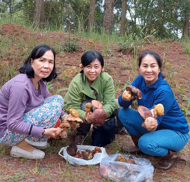 Thích thú với thành quả hái nấm của du khách