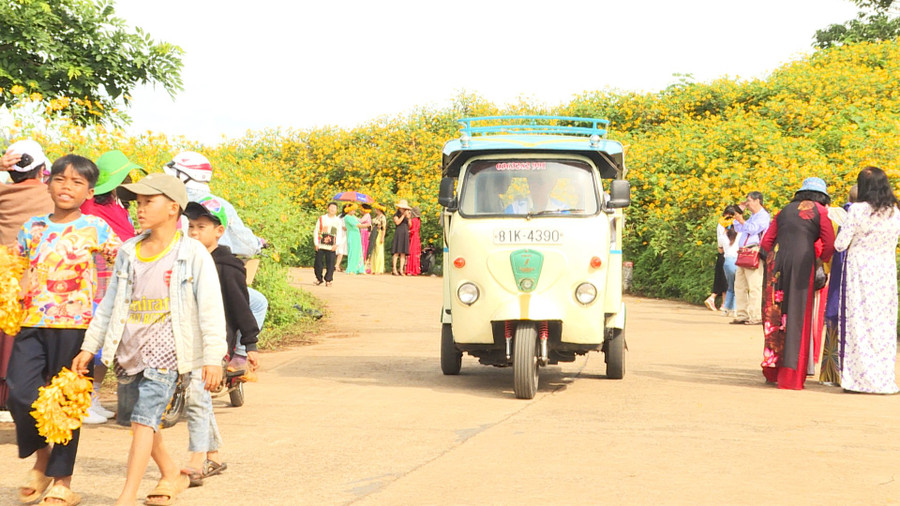 Đông đảo du khách đến tham quan, trải nghiệm.