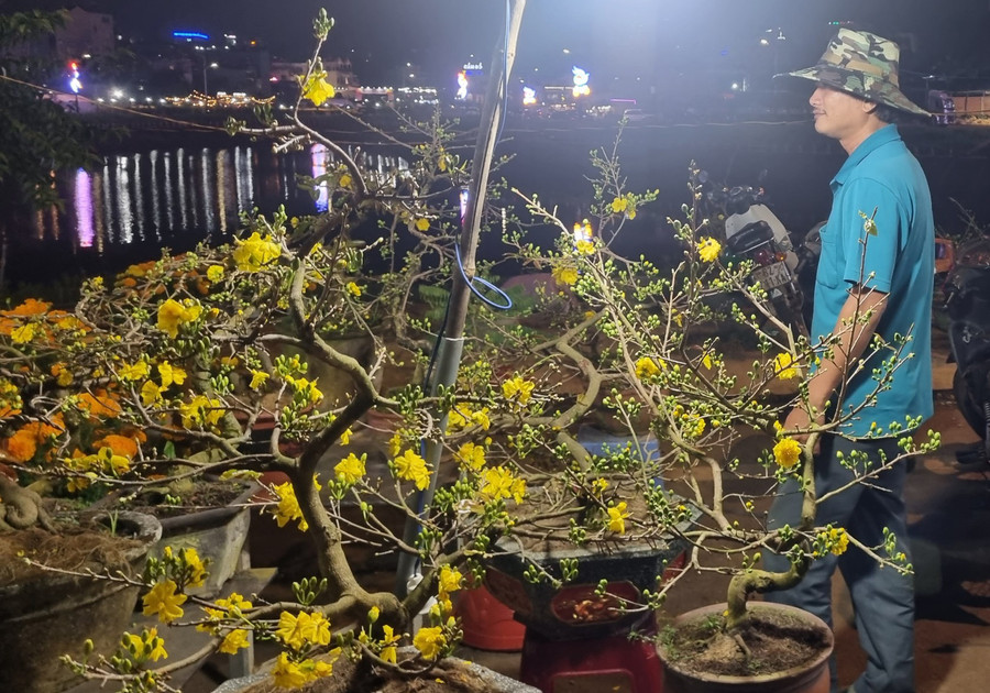 Anh Lê Doãn Vỹ (xã Nhơn Hậu, thị xã An Nhơn) lo lắng vì sức mua năm nay quá chậm. Anh Lê Doãn Vỹ (xã Nhơn Hậu, thị xã An Nhơn) lo lắng vì sức mua năm nay quá chậm.