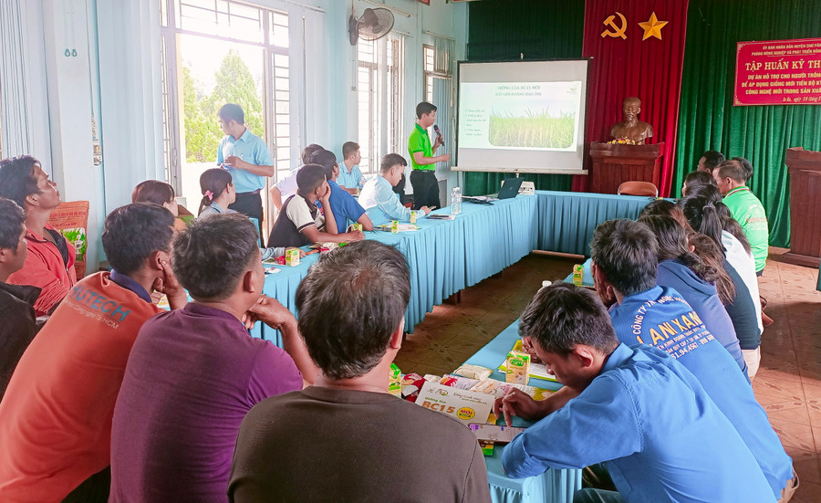 Quang cảnh lớp tập huấn. Ảnh: K.P Quang cảnh lớp tập huấn. Ảnh: K.P