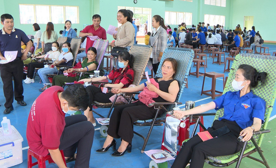 Qua xét nghiệm, sàng lọc, Ban tổ chức đã thu được 372 đơn vị máu an toàn. Ảnh: Văn Đại