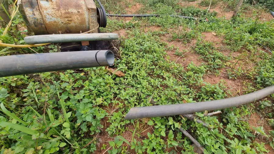 Hệ thống ống nước tưới cho vườn chanh dây cũng bị kẻ gian chặt phá hoàn toàn. Ảnh: Hà Phương