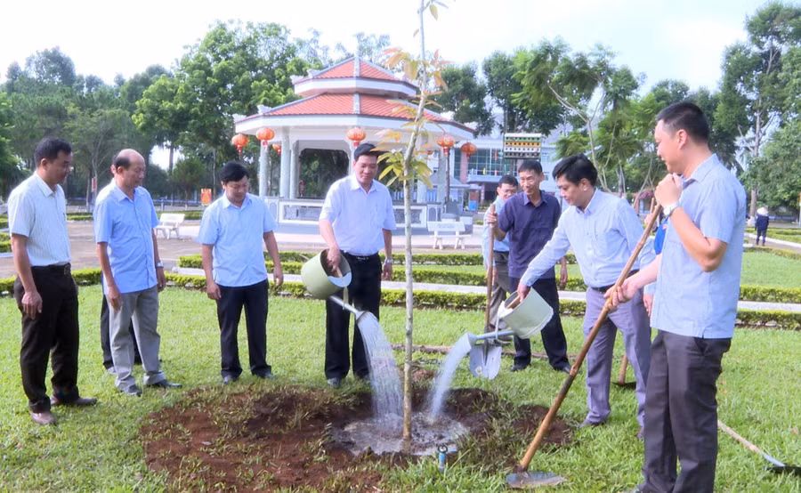 Lãnh đạo huyện Chư Păh tham gia trồng cây xanh. Ảnh: Văn Đại