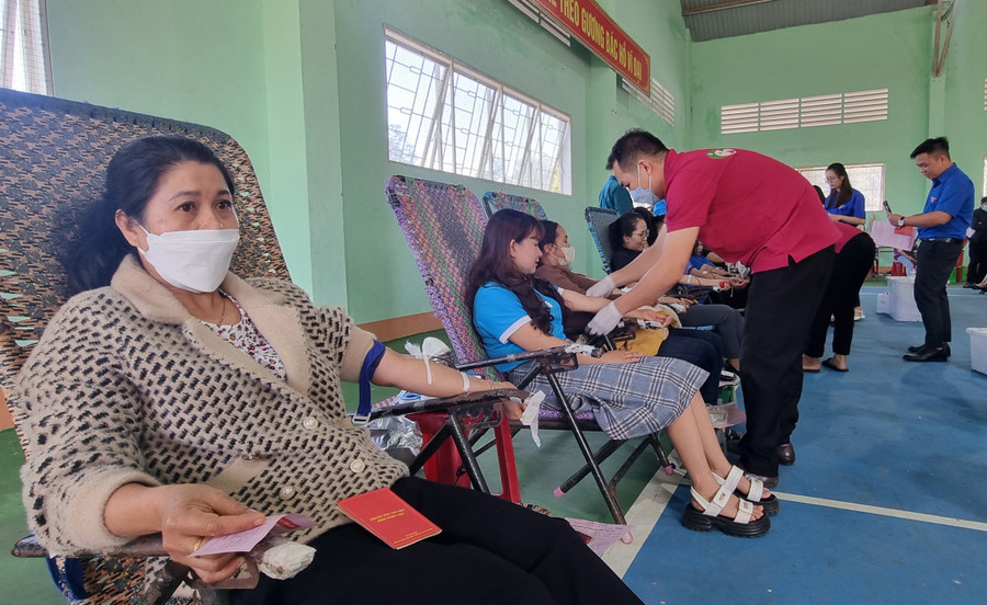 Qua xét nghiệm, khám sàng lọc, Ban tổ chức đã thu được 314 đơn vị máu an toàn. Ảnh: H.P