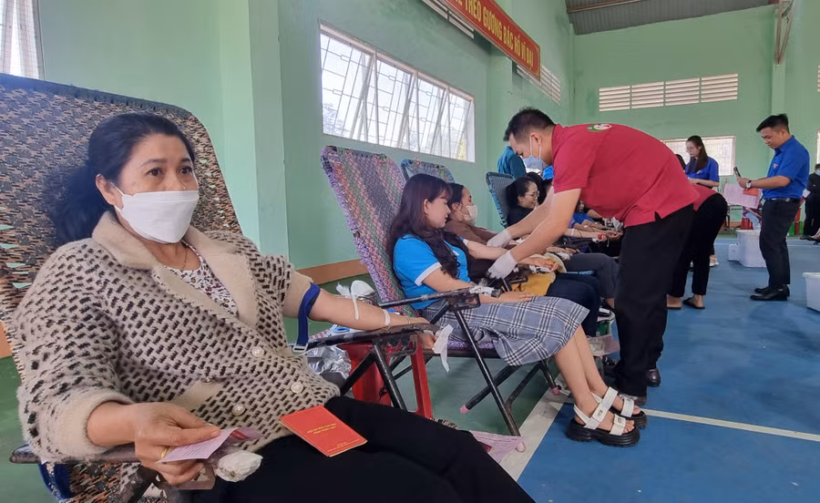 Qua xét nghiệm, khám sàng lọc, Ban tổ chức đã thu được 314 đơn vị máu an toàn. Ảnh: H.P