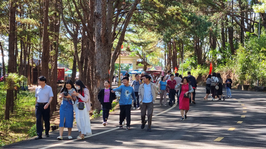 Ước lượng trong những ngày nghỉ Tết Dương lịch 2024, du khách từ các tỉnh, thành đến tham quan các điểm du lịch trên địa bàn Gia Lai đông hơn so với mọi năm. Đây là tín hiệu vui chứng tỏ du lịch Gia Lai đang dần hấp dẫn hơn đối với du khách thập phương.