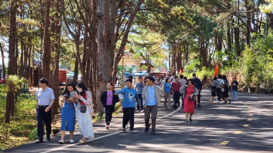 Ước lượng trong những ngày nghỉ Tết Dương lịch 2024, du khách từ các tỉnh, thành đến tham quan các điểm du lịch trên địa bàn Gia Lai đông hơn so với mọi năm. Đây là tín hiệu vui chứng tỏ du lịch Gia Lai đang dần hấp dẫn hơn đối với du khách thập phương.