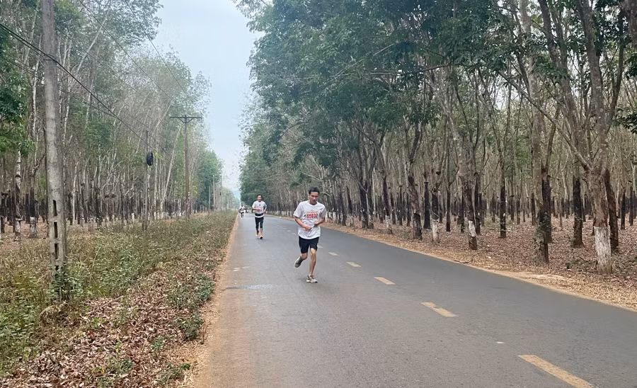 Các VĐV trên đường chạy ở cự ly 5 km nam. Ảnh: H.P