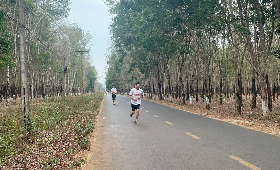Các VĐV trên đường chạy ở cự ly 5 km nam. Ảnh: H.P Các VĐV trên đường chạy ở cự ly 5 km nam. Ảnh: H.P