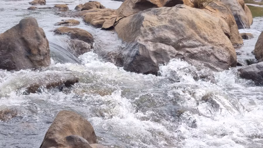 Nước của dòng suối tung bọt trắng xóa. Ảnh: K.P